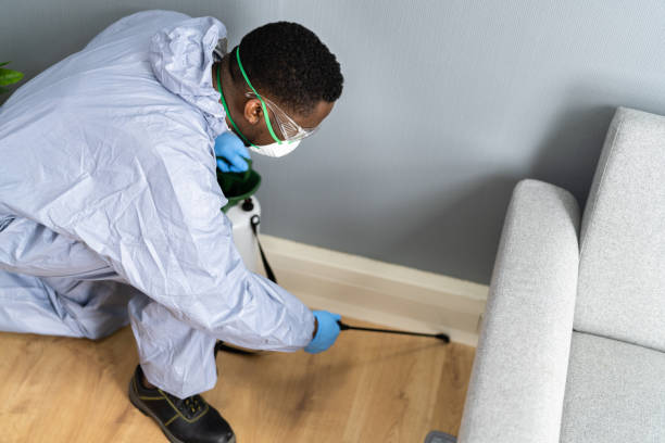 Emergency Pest Control Services in Carle Place, NY